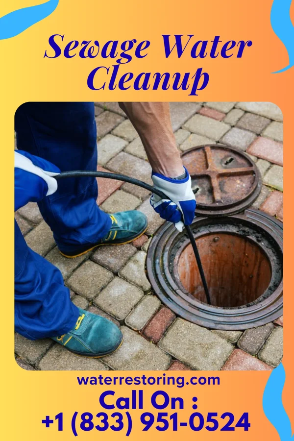 Sewage Water Cleanup in Pentwater, MI